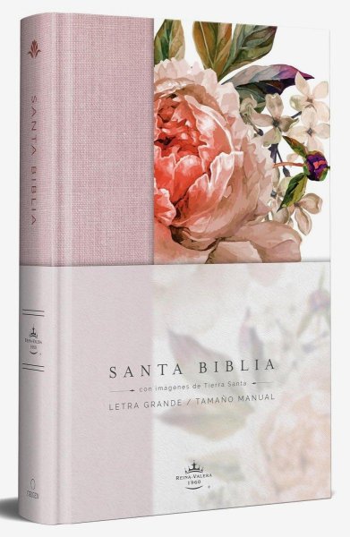 Biblia Reina Valera 1960 Letra Grande Rosa Td