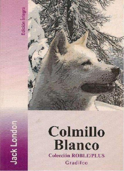 Colmillo Blanco / Roble / Plus