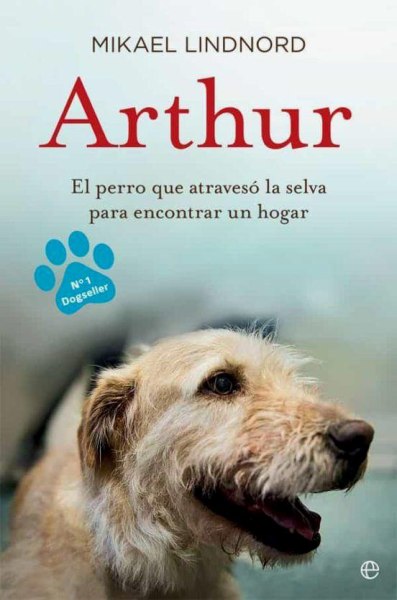 Arthur El Perro Que Atraveso la Jungla para Encontrar Un Hogar