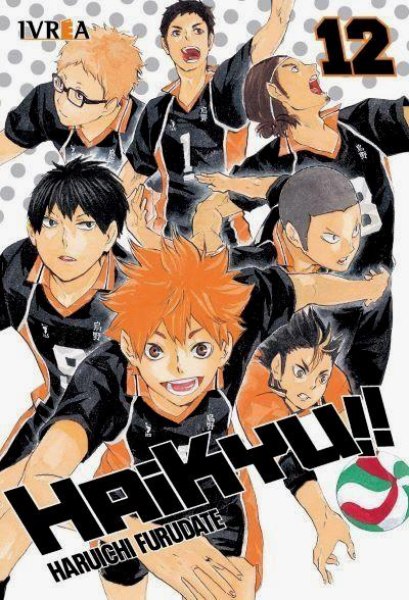 Haikyu 12