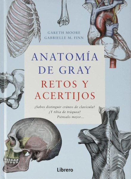 Anatomia de Gray