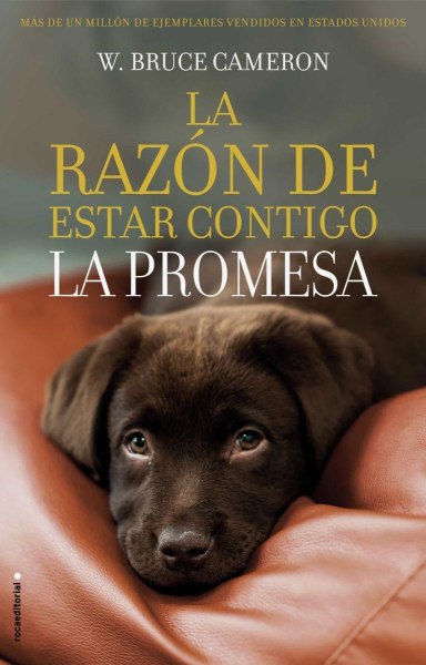 La Razon de Estar Contigo - la Promesa