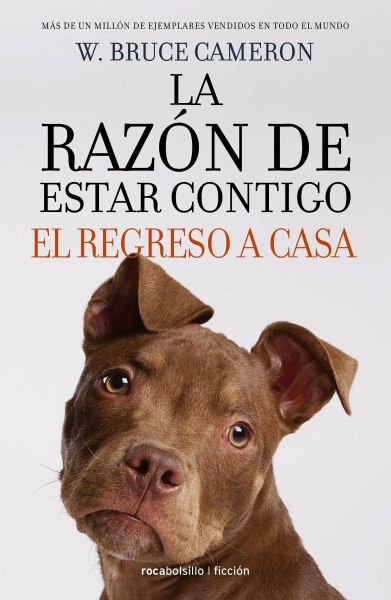 La Razon de Estar Contigo - El Regreso a Casa