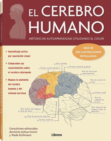 El Cerebro Humano