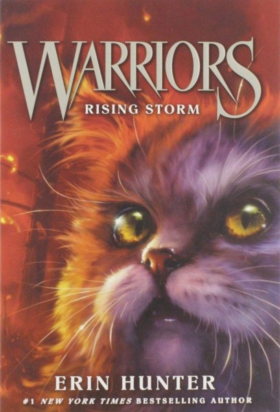 Warriors 4 Rising Storm