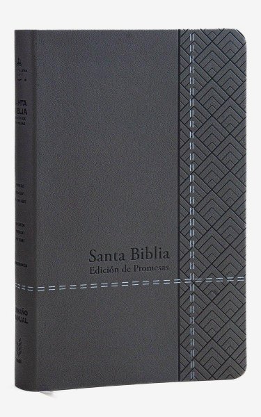 Santa Biblia de Promesas Rvr-1960