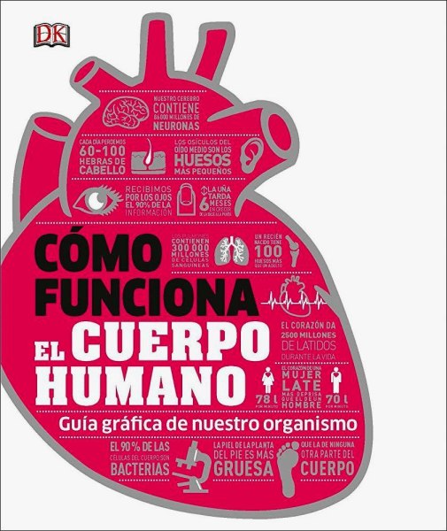 Como Funciona El Cuerpo Humano